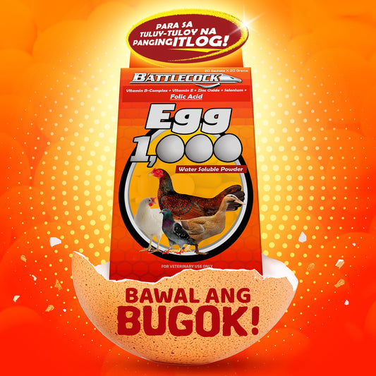 Battlecock egg1000 20 sachets