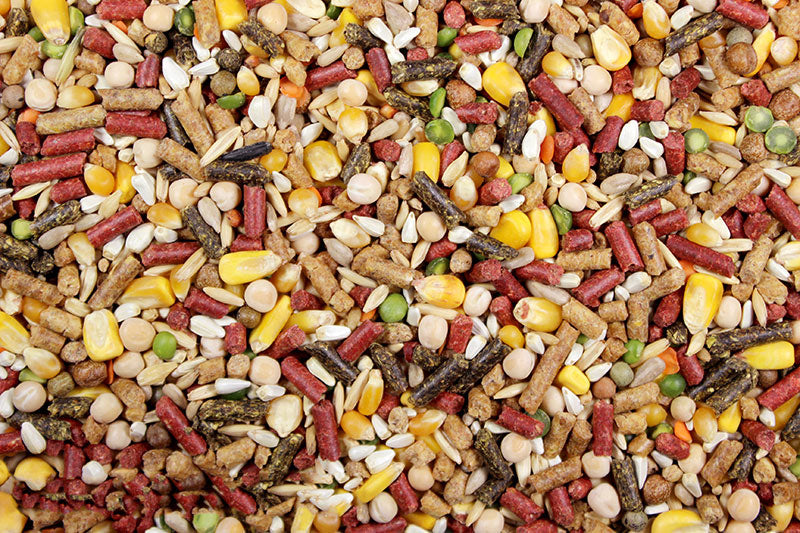 High octane 50lb whole corn