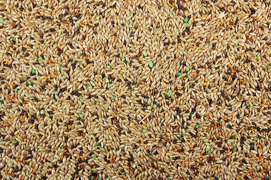 Canary Roller 50lb Leach Grain