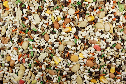 Large Hookbill Plus Leach grain