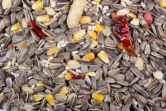 Parrot Mix 25lb  Leach grain