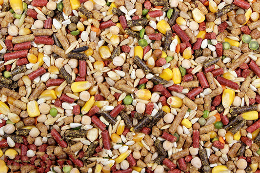 High octane 50lb whole corn